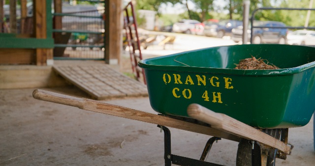 Green wheelbarrow