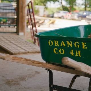 Green wheelbarrow