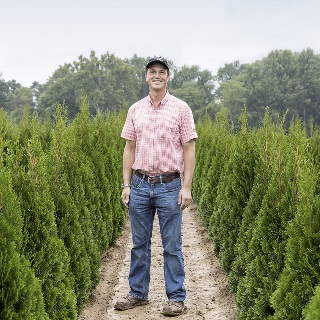 Man standing between rows of trees.